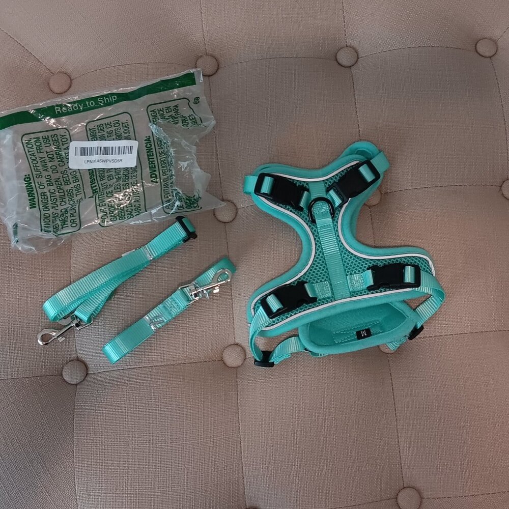 Bechtel dog harness + leash set
